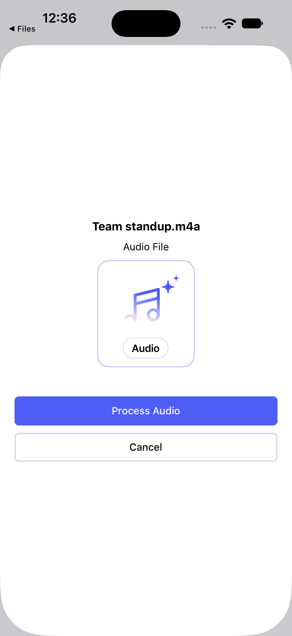 La pantalla de confirmación de Wave mostrando el nombre del archivo, Audio File, y los botones Process Audio y Cancel